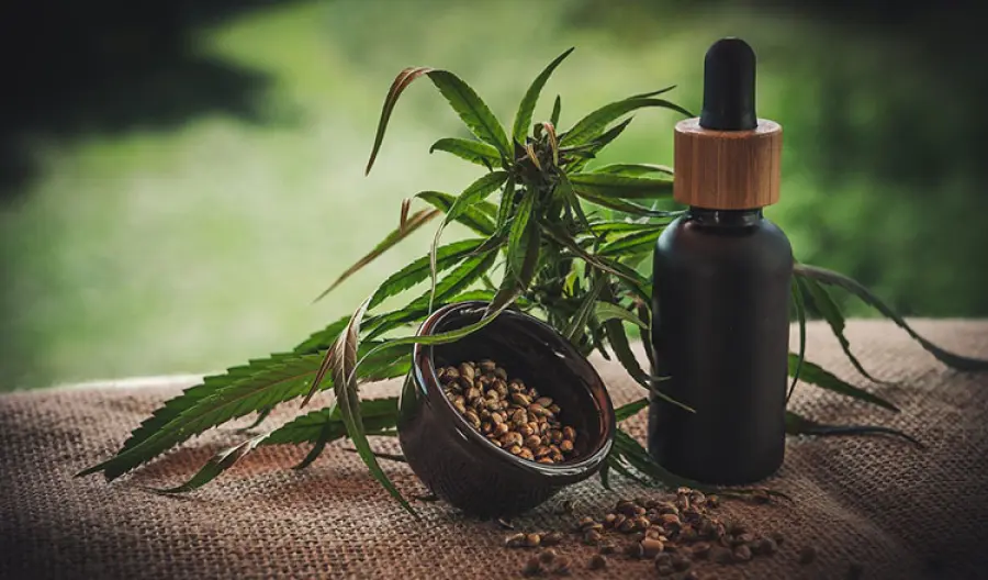 Olio cbd tutti gli utilizzi