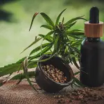 Olio cbd tutti gli utilizzi