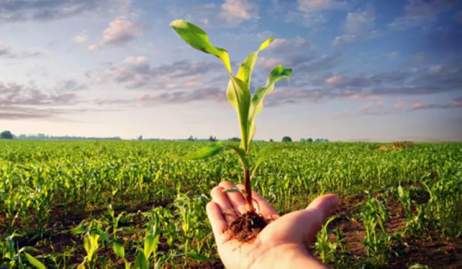 Un nuovo e-commerce per gli agricoltori